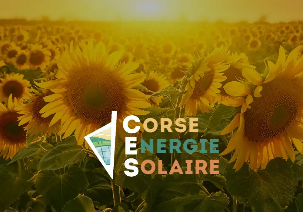 Solutions innovantes pour l'énergie solaire en Corse et économies garanties